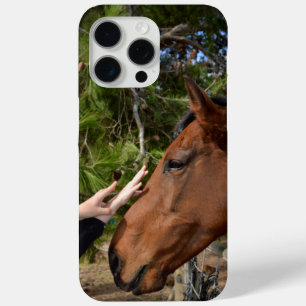 Brown Horse Called Bennie Loving A  Pat, iPhone 15 Pro Max Case