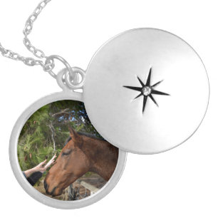 Brown Horse Called Bennie Loving A  Pat, Silver Plated Necklace
