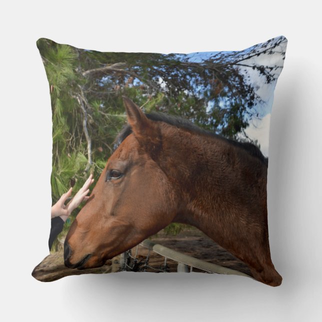 Brown Horse Called Bennie Loving A Pat, Throw Pillow (Front)