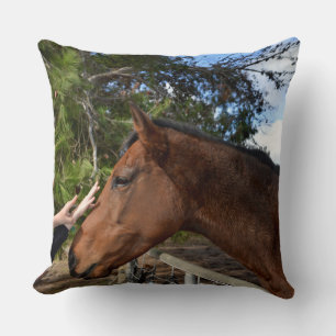 Brown Horse Called Bennie Loving A  Pat, Throw Pillow