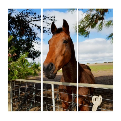 Brown Horse Called Tulip Triptych