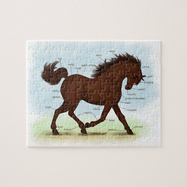 Brown Horse Educational Equine Anatomy Jigsaw Puzzle (Horizontal)