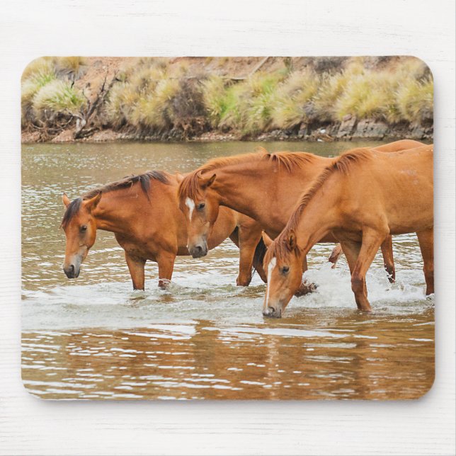 Brown Horse  family at the river Mouse Pad (Front)
