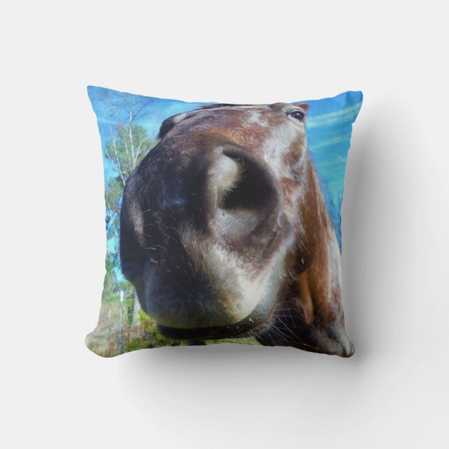 Brown horse funny face teal blue sky throw pillow (Front)
