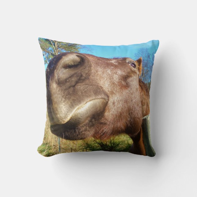 Brown horse funny face teal blue sky throw pillow (Front)