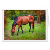 brown horse grazing (Front Horizontal)
