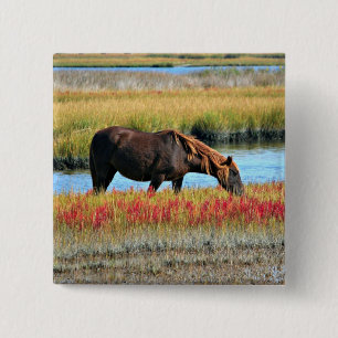 Brown Horse Grazing by Water Meadow Pinback Button