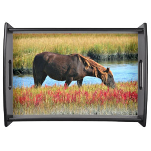 Brown Horse Grazing by Water Meadow Serving Tray
