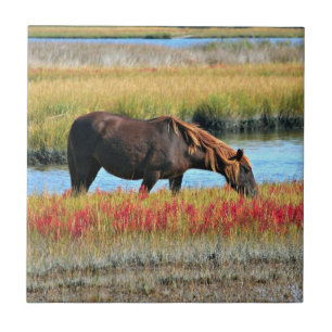 Brown Horse Grazing by Water Meadow Tile