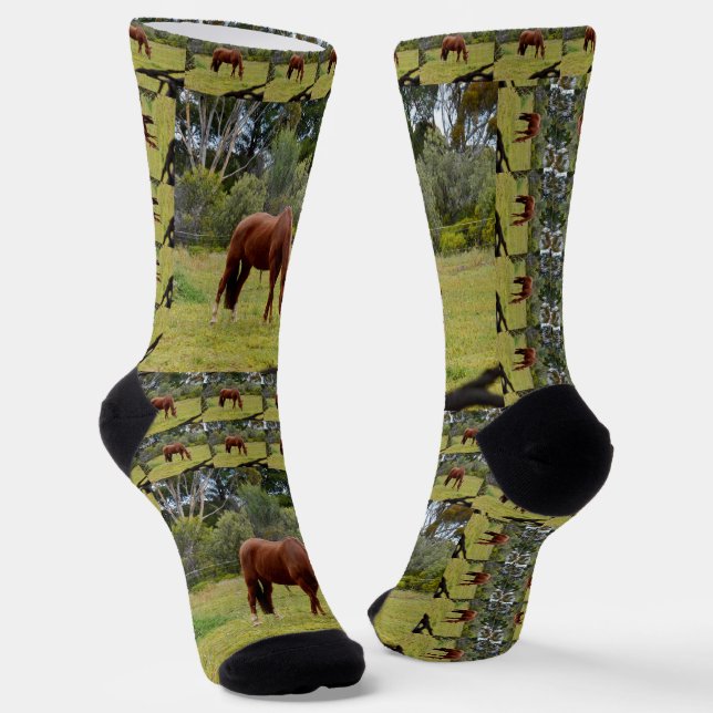 Brown Horse Grazing, Crew Socks (Angled)