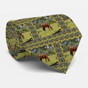 Brown Horse Grazing In Paddock, Neck Tie