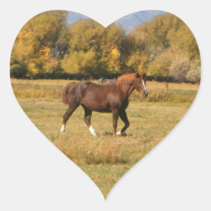 Brown Horse Heart Sticker
