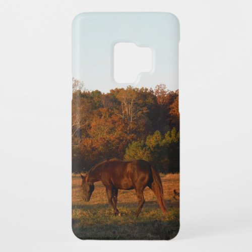 Brown horse in a Autumn feild Case_Mate Samsung Galaxy S9 Case