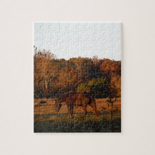 Brown horse in a Autumn feild Jigsaw Puzzle