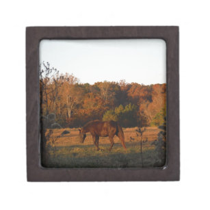 Brown horse in a Autumn feild Keepsake Box