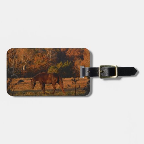 Brown horse in a Autumn feild Luggage Tag