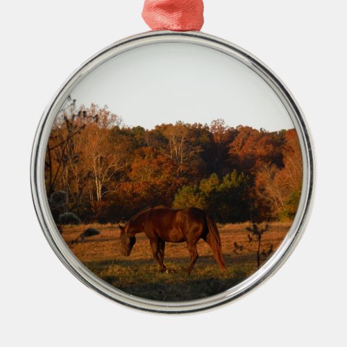 Brown horse in a Autumn feild Metal Ornament