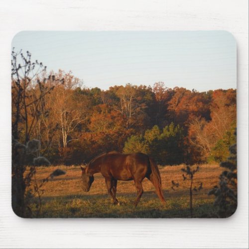Brown horse in a Autumn feild Mouse Pad