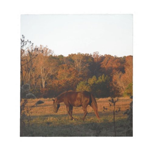 Brown horse in a Autumn feild Notepad
