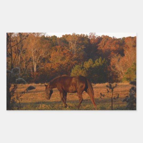 Brown horse in a Autumn feild Rectangular Sticker
