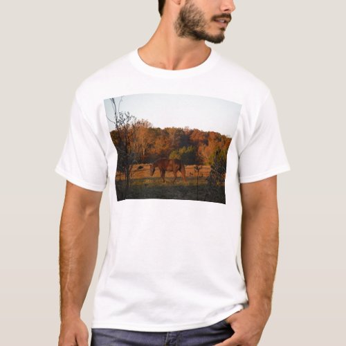 Brown horse in a Autumn feild T_Shirt