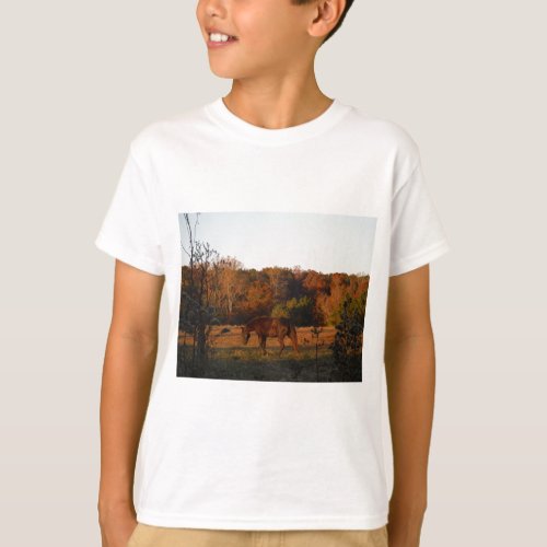 Brown horse in a Autumn feild T_Shirt