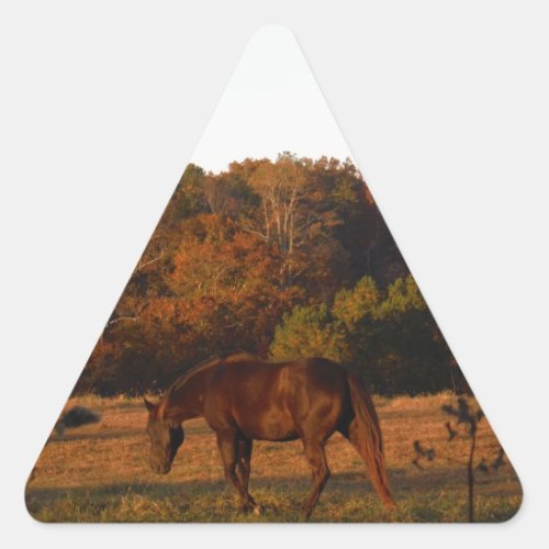 Brown horse in a Autumn feild Triangle Sticker