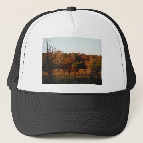 Brown horse in a Autumn feild Trucker Hat