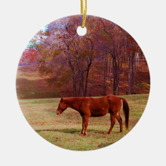 Brown horse in a grass field ceramic ornament (Front)