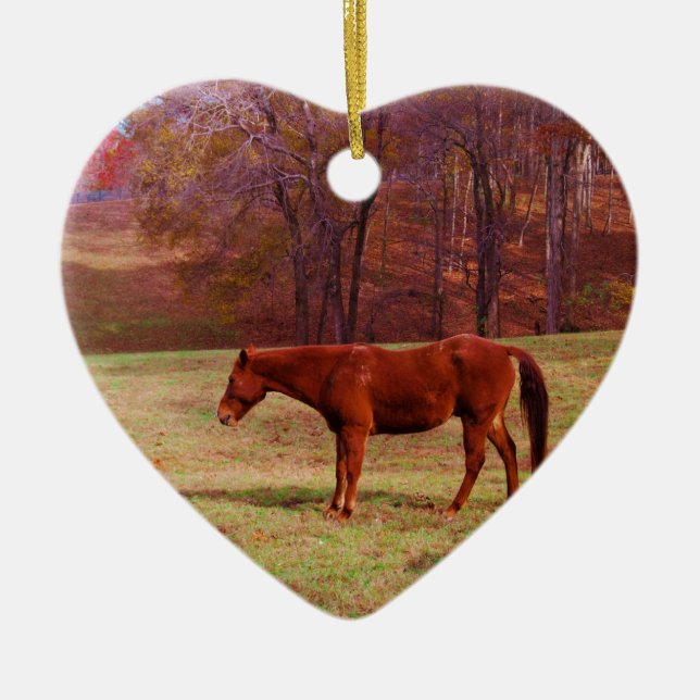 Brown horse in a grass field ceramic ornament (Front)
