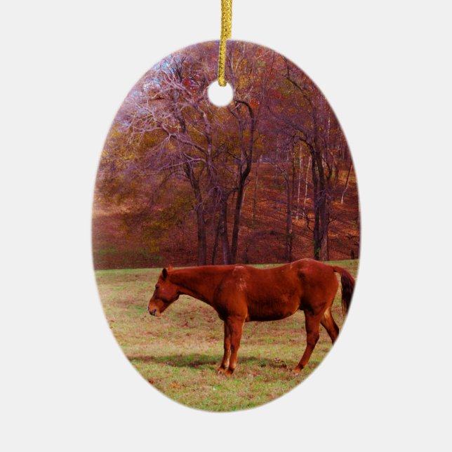 Brown horse in a grass field ceramic ornament (Front)