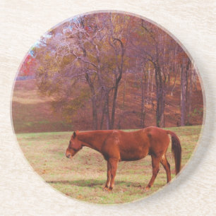 Brown horse in a grass field drink coaster