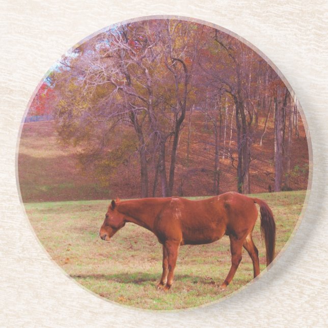 Brown horse in a grass field drink coaster (Front)