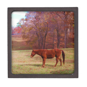 Brown horse in a grass field jewelry box