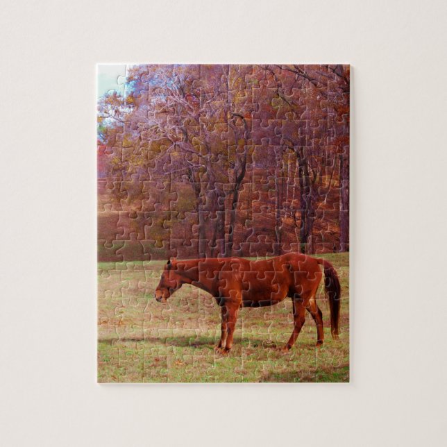 Brown horse in a grass field jigsaw puzzle (Vertical)