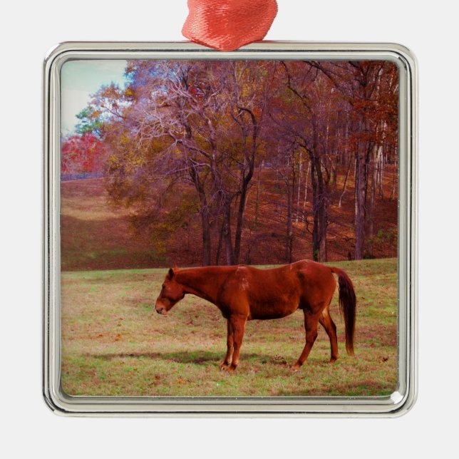Brown horse in a grass field metal ornament (Front)