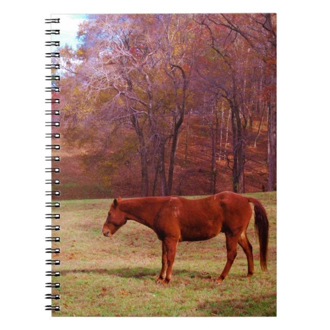 Brown horse in a grass field notebook (Front)