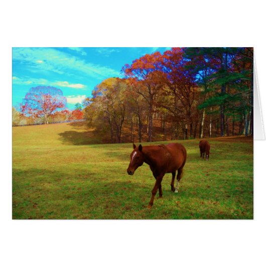 Brown Horse in a Rainbow colored field (Front Horizontal)