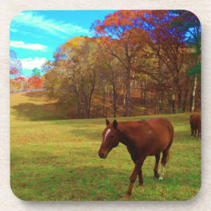 Brown Horse in a Rainbow colored field Beverage Coaster