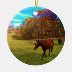 Brown Horse in a Rainbow colored field Ceramic Ornament