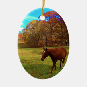Brown Horse in a Rainbow colored field Ceramic Ornament