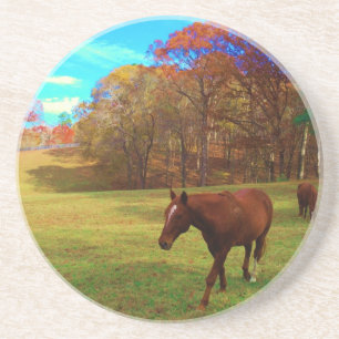Brown Horse in a Rainbow colored field Drink Coaster