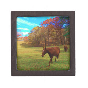 Brown Horse in a Rainbow colored field Gift Box