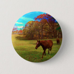 Brown Horse in a Rainbow colored field Pinback Button