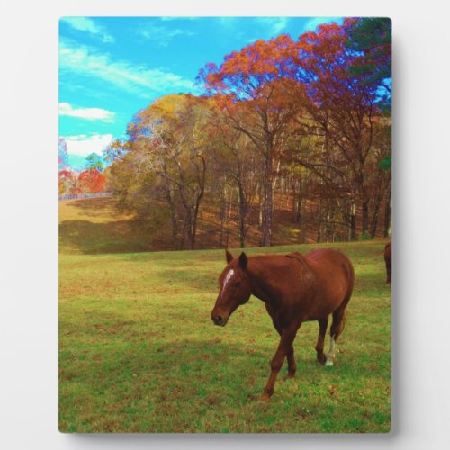 Brown Horse in a Rainbow colored field Plaque