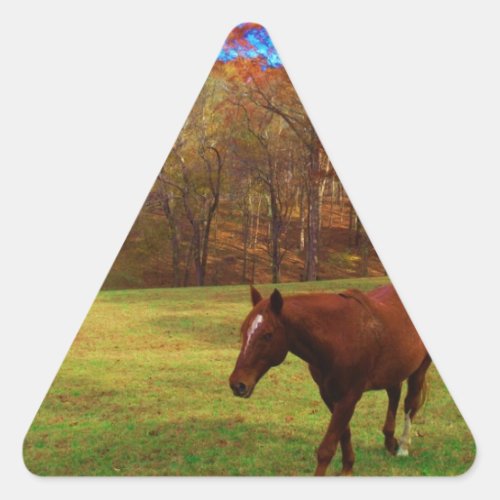 Brown Horse in a Rainbow colored field Triangle Sticker