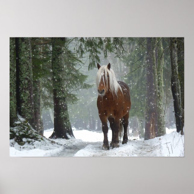 Brown Horse in a Winter Forest with Snow Falling Poster (Front)