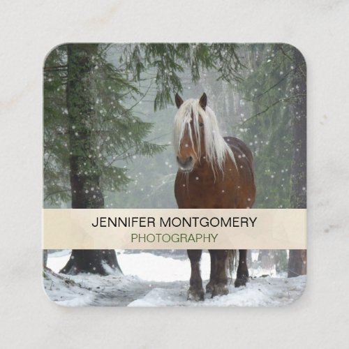 Brown Horse in a Winter Forest with Snow Falling Square Business Card