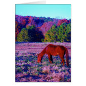 Brown horse in Purple Grass (Front)