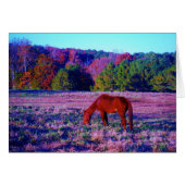 Brown horse in Purple Grass (Front Horizontal)